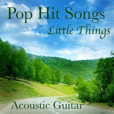 Pop Hit Songs on Solo Acoustic Guitar: Little Things's cover