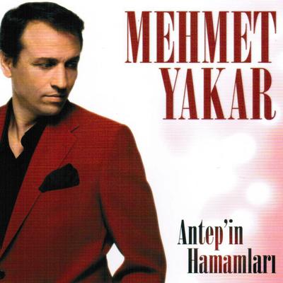 Antep'in Hamamları (Halebi) By Mehmet Yakar's cover