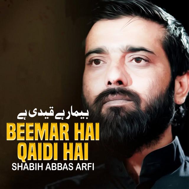 Shabih Abbas Arfi's avatar image