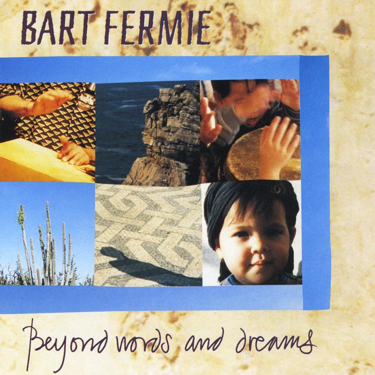 Bart Fermie's avatar image