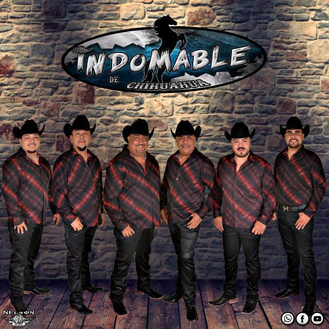 Indomable de Chihuahua's avatar image