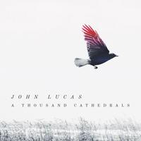 John Lucas's avatar cover