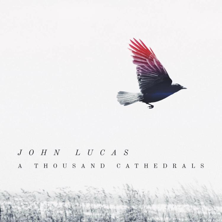 John Lucas's avatar image