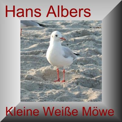 Kleine Weiße Möwe's cover