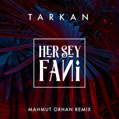 Her Şey Fani (Mahmut Orhan Remix)'s cover