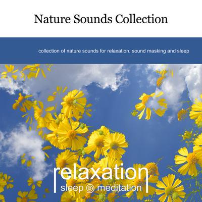 Relaxation Sleep Meditation's cover