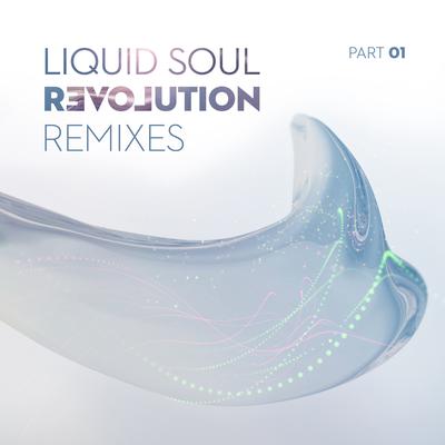 Revolution By Liquid Soul, Class A's cover
