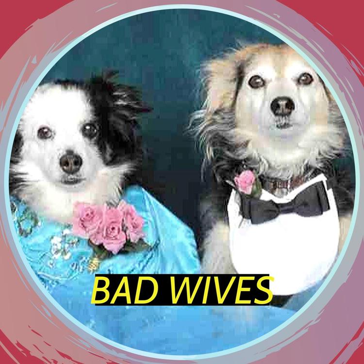 Bad Wives's avatar image