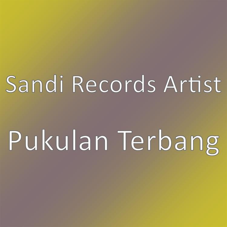 Sandi Records Artist's avatar image