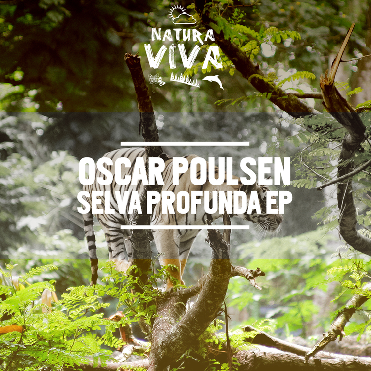 Oscar Poulsen's avatar image