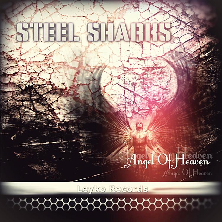 Steel Shadows's avatar image