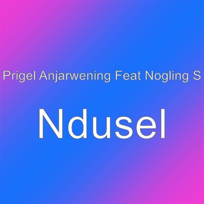 Ndusel's cover