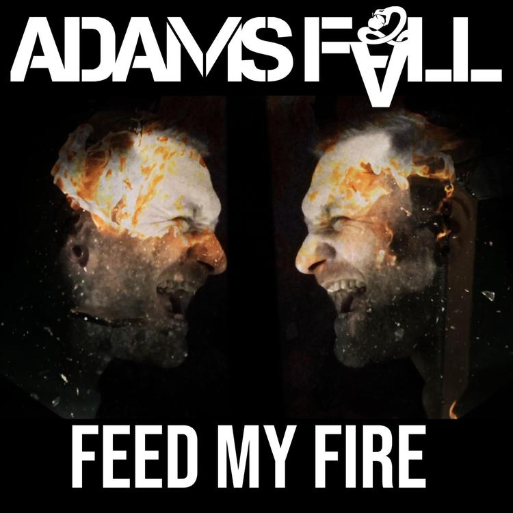 Adams Fall's avatar image