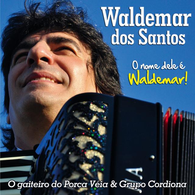 Waldemar dos Santos's avatar image