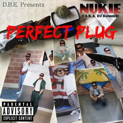 Perfect Plug's cover