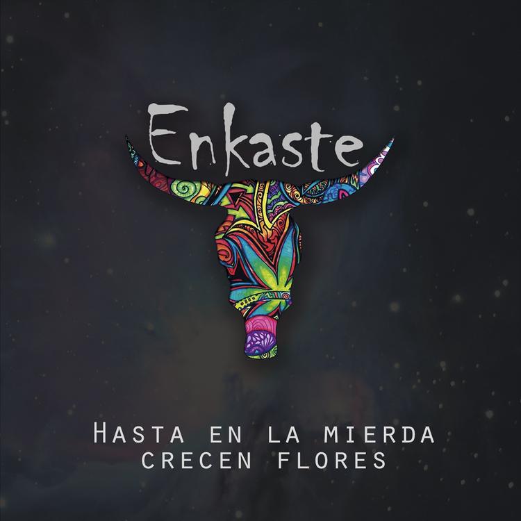 Enkaste's avatar image