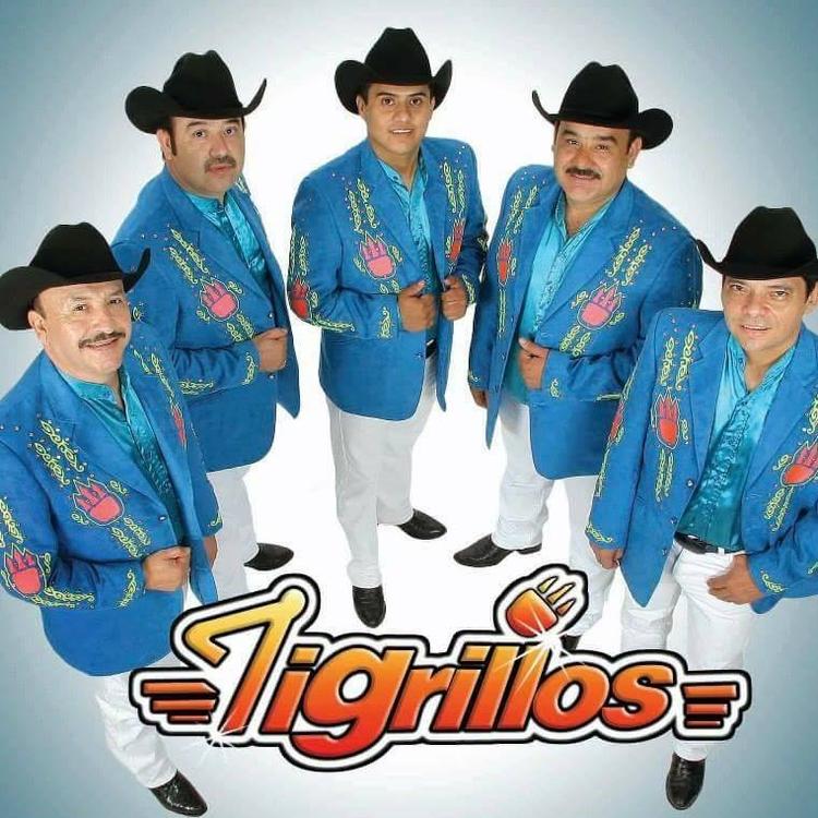 Los Tigrillos's avatar image