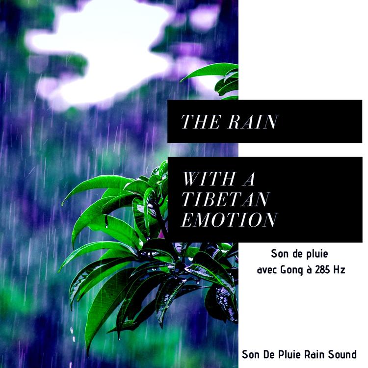Son De pluie Rain Sound's avatar image