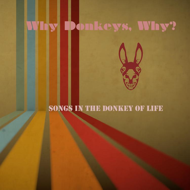 Why Donkeys, Why?'s avatar image