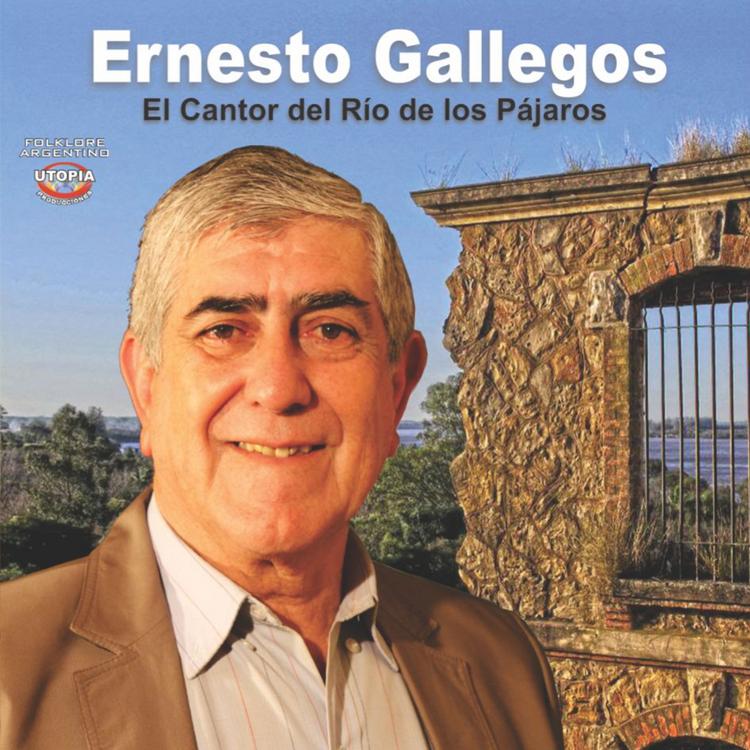 Ernesto Gallegos's avatar image