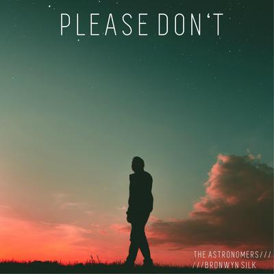 Please Don't (feat. Bronwyn Silk)'s cover