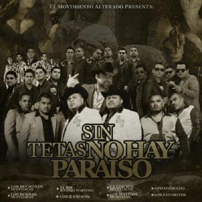 Sin Tetas No Hay Paraiso's cover