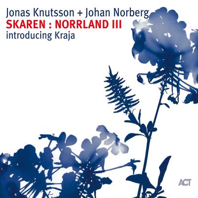 Schwarzer Bua By Jonas Knutsson, Johan Norberg's cover
