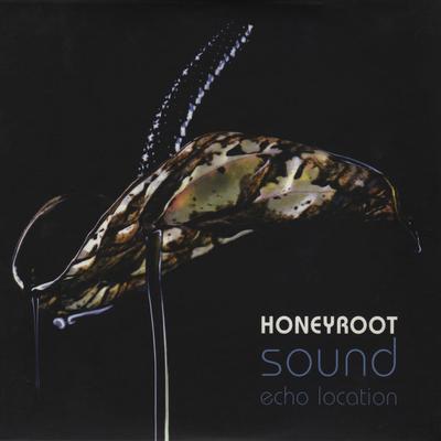 Sunrise Sunset By Honeyroot's cover