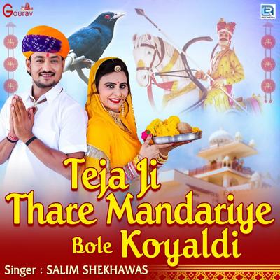 Teja Ji Thare Mandiriye Bole Koyaladi (Original) By Salim Shekhawas's cover