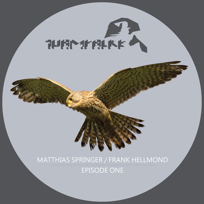 Mandrake Groove (Frank Hellmond Remix) By Matthias Springer's cover