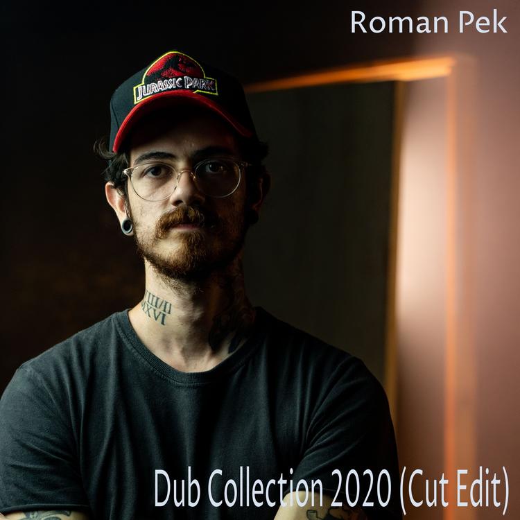 Roman Pek's avatar image