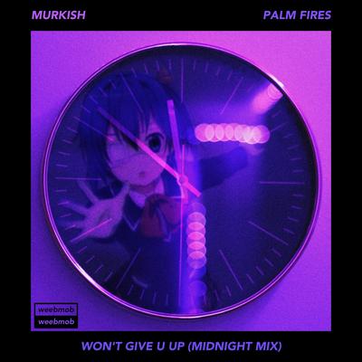 Won't Give U Up (midnight mix)'s cover