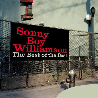 Don't Start Me to Talkin' By Sonny Boy Williamson's cover