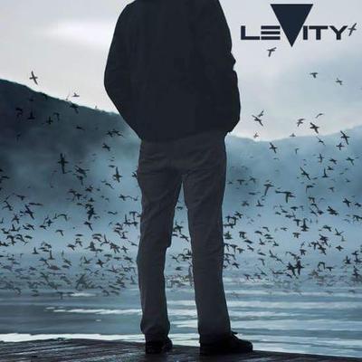 LEVITY's cover