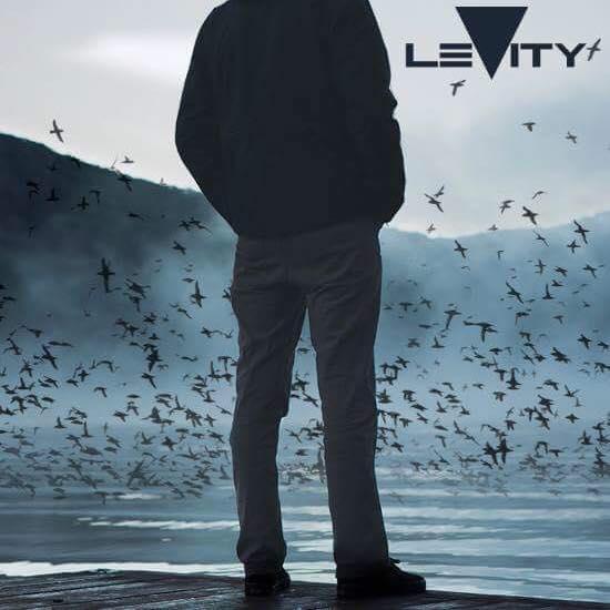 LEVITY's avatar image