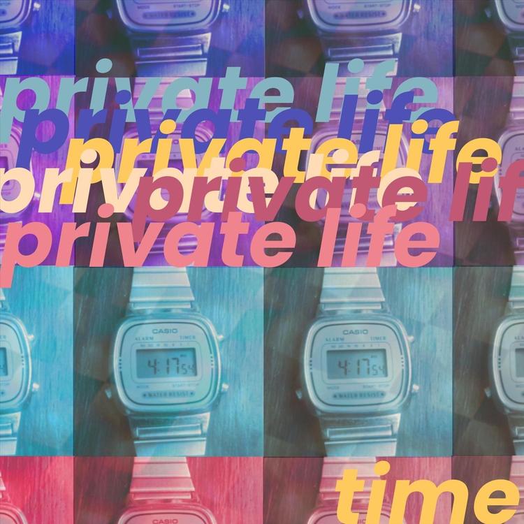 Private Life's avatar image