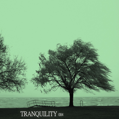 Tranquility 004's cover