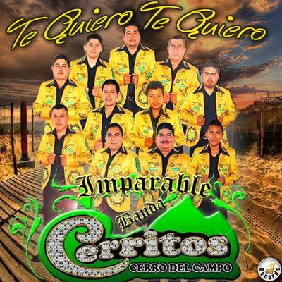 Imparable Banda Cerritos Cerro del Campo's cover