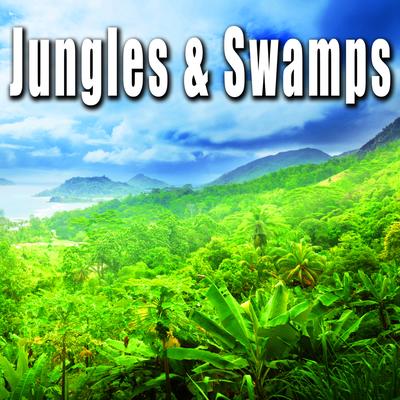 Crickets, Frogs & Reptiles in Swamp at Night Time By Sound Ideas's cover