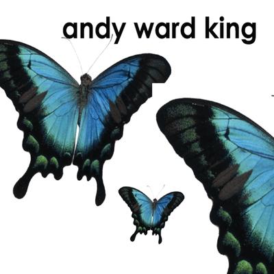 Andy Ward King's cover