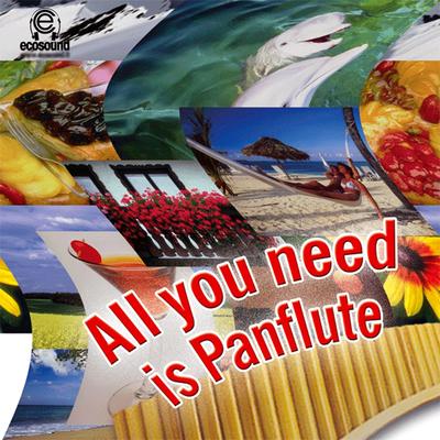 All You Need Is Panflute (Ecosound musica indiana andina)'s cover