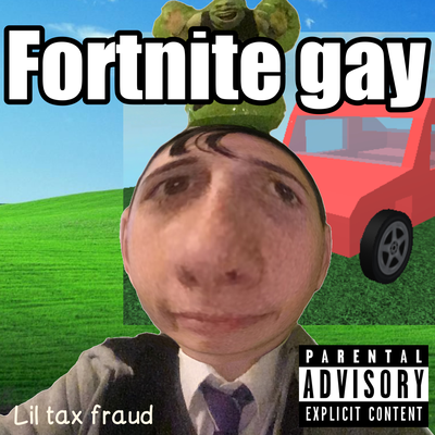 Fortnite Gay's cover