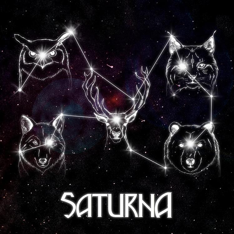 Saturna's avatar image