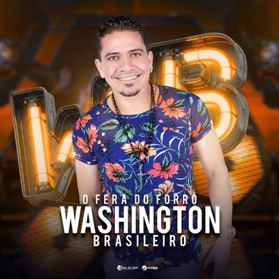 Foi Bom Reencontrar Você By Washington Brasileiro's cover