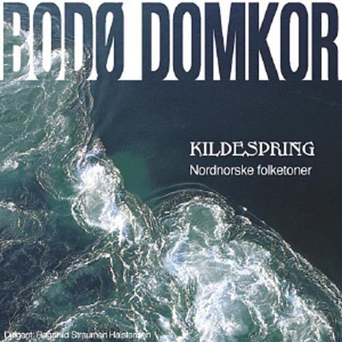 Meditatus Official TikTok Music | album by Bodø Domkor