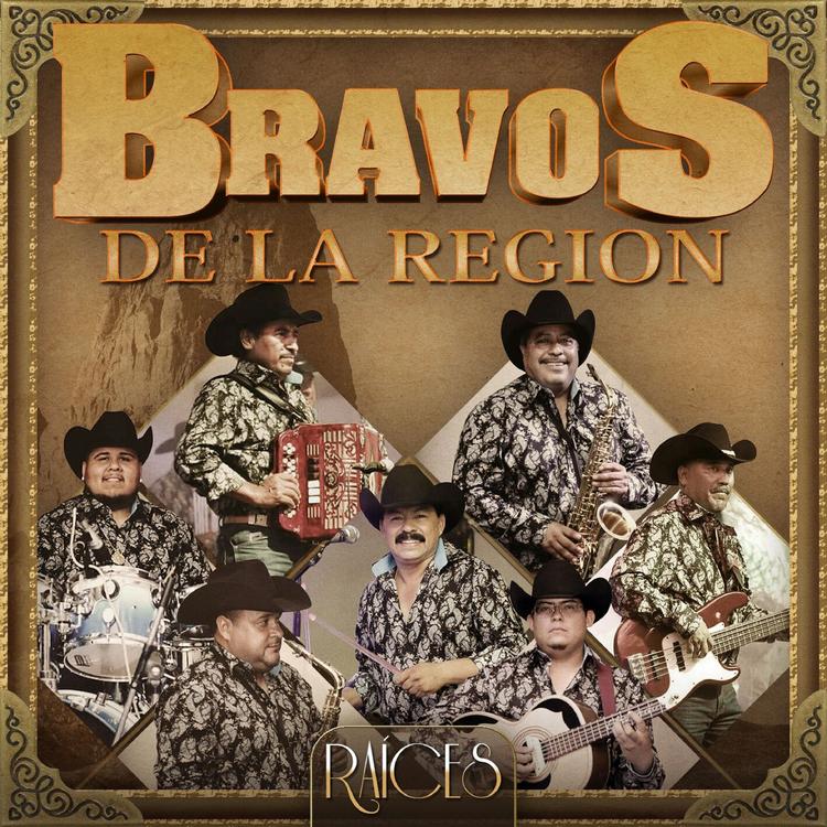 Bravos de la Región's avatar image