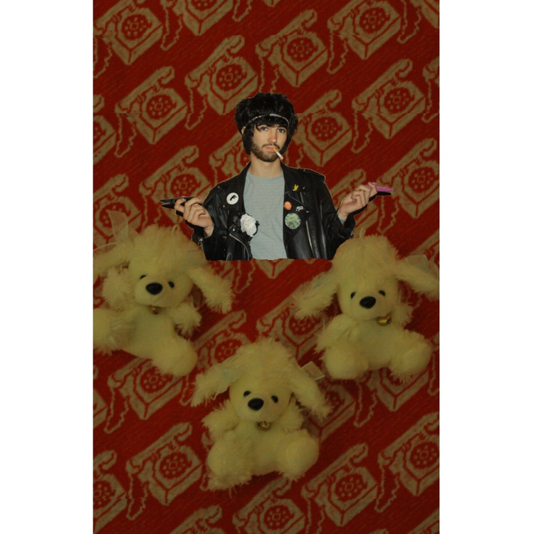 Pookie and the Poodlez's avatar image
