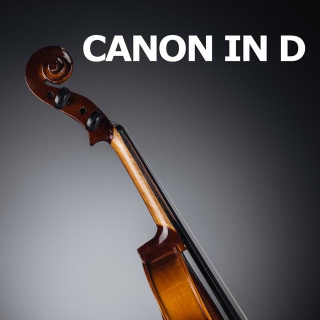 Canon in D's avatar image