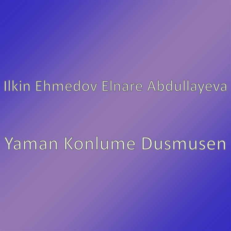 Ilkin Ehmedov Elnare Abdullayeva's avatar image