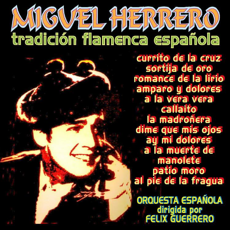 Miguel Herrero's avatar image